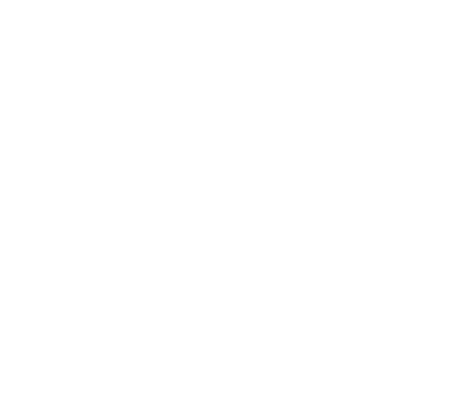 ZOUSZ logo